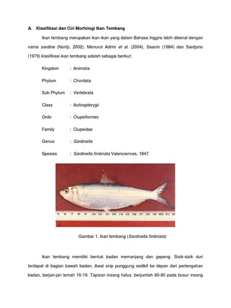 Makalah Ikan Tembang .